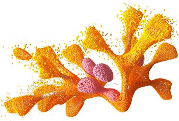 Biologic Icon