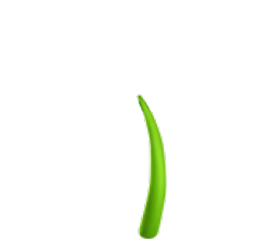 Flower stem